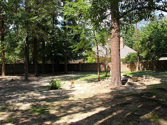 Large backyard