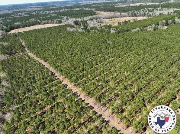 42.24 Ac Cres #1456, Linden, TX 75563