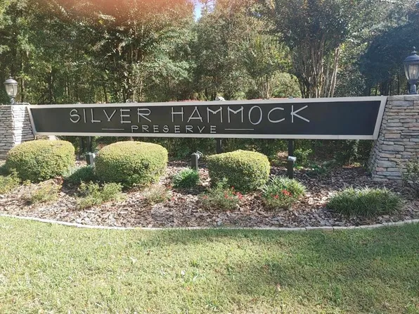 LOT 16 NE 43rd Lane Rd, Silver Springs, FL 34488