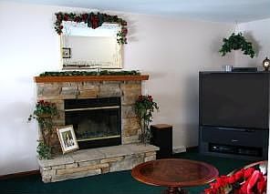 Fireplace in Living Room
