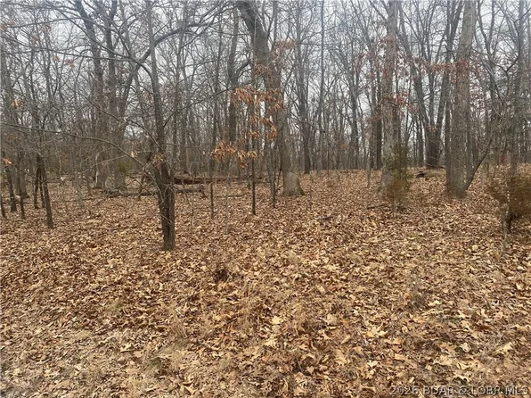 1341 Champion Dr, Sunrise Beach, MO 65079