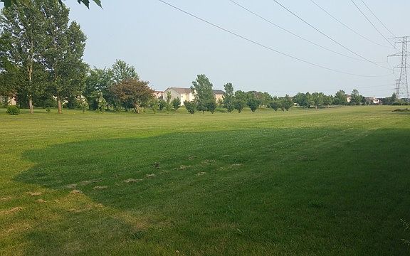 3rd image of 24401 Deer Creek Ct