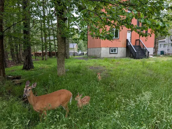 1584 Black Birch Way, Tobyhanna, PA 18466