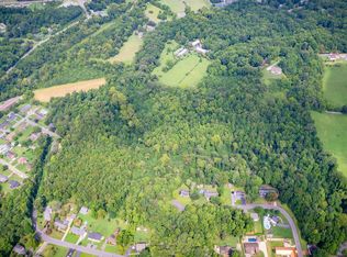 Old Buffalo Rd, Johnson City, TN 37601