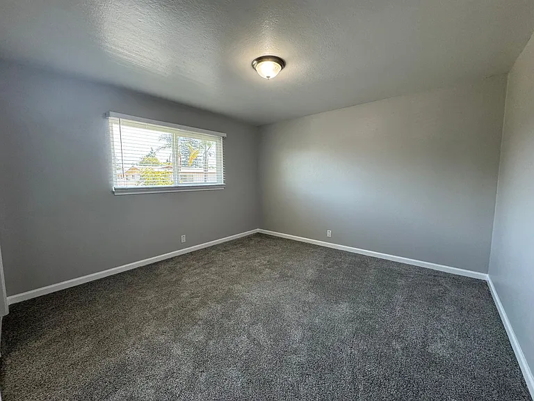 2937 Magliocco Dr — Photo 13