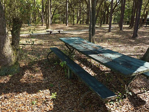 5th image of 14446 County Road 32