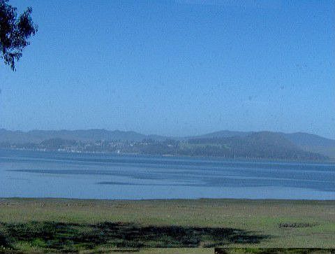 The Bay is your Back yard