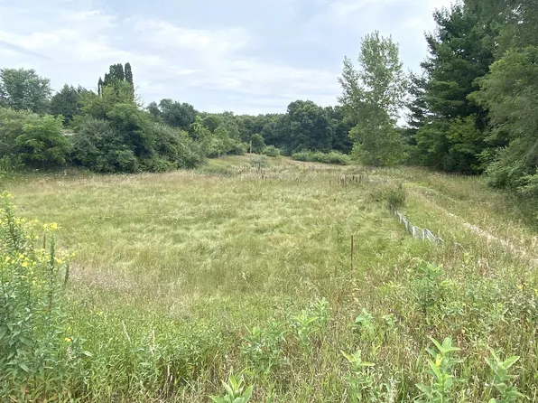 9681 SW Greenville Rd, Greenville, MI 48838