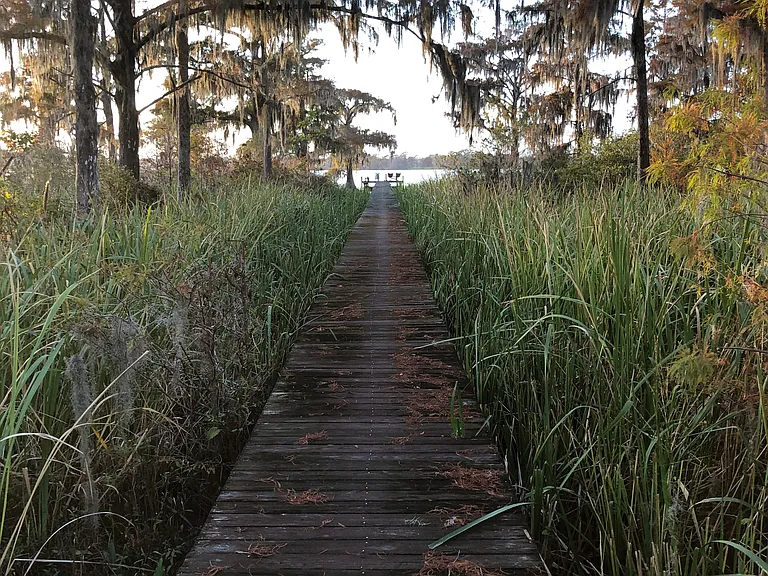 15 Morven Ln #15 — Photo 31