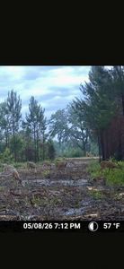 0 Sealy Wells Rd Lot 3, Cottonwood, AL, 36320