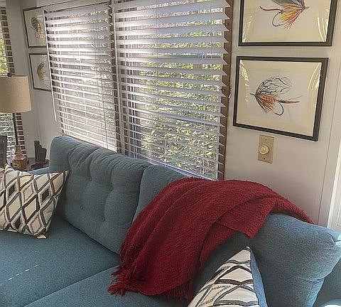    Sleeper sofa