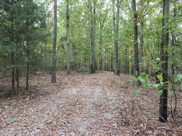 0 County Road 337, Crane Hill, AL 35053