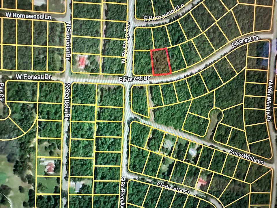 2nd image of 202 E Forest Dr