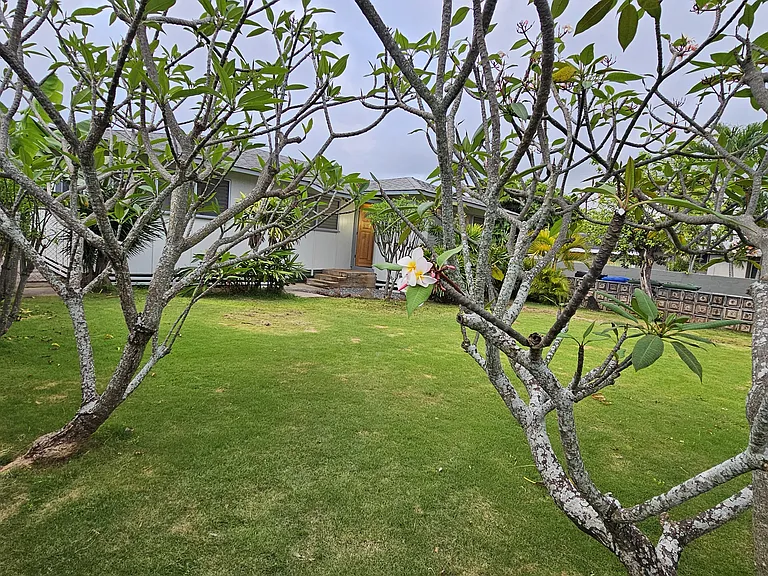 455 Manono St — Photo 11