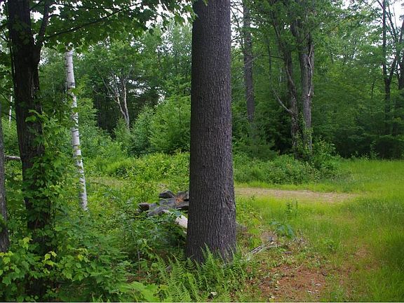4th image of Blueberry Ln
