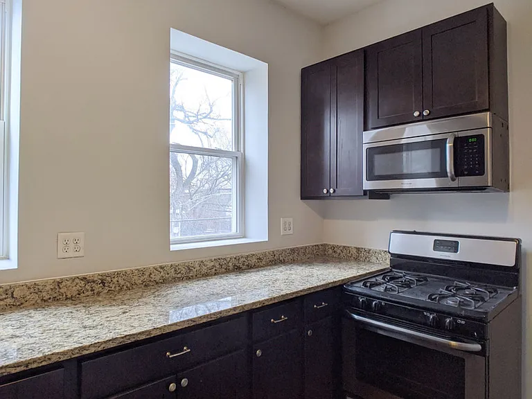 2257 W Hirsch St #1W — Photo 7