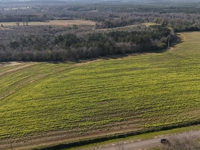 LOT 4 Gilley Mill Rd, Headland, AL, 36345