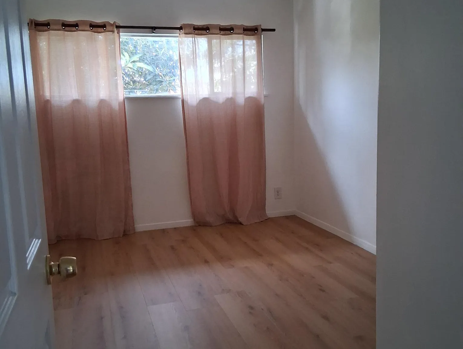 1 bed, 575 sqft, $2,000 — Photo 3