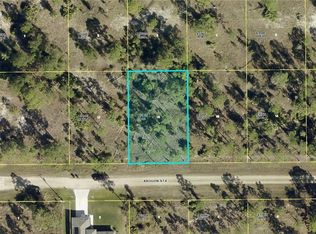 861 Arogon St E, Lehigh Acres, FL 33974