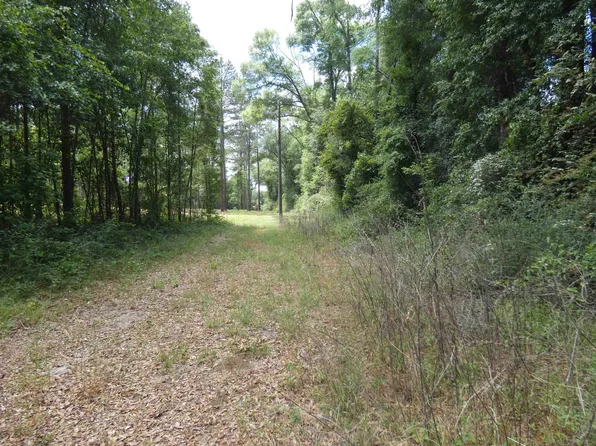 Tbd W Washington, Monticello, FL 32344