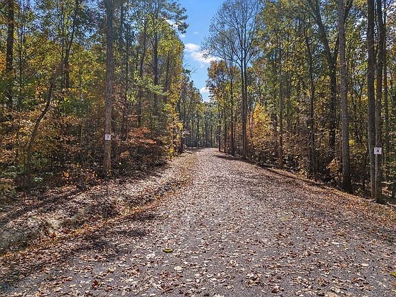 4th image of LOT 6 County Road 29