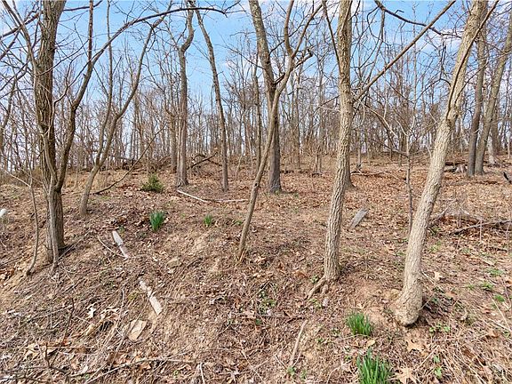 5th image of 465 Amsler Ridge Rd