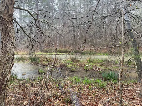 1241 Northwoods Dr, Greensboro, GA 30642