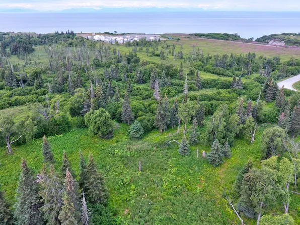 0 Dionne Ave, Ninilchik, AK 99639