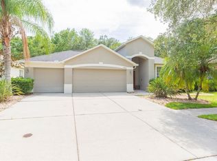 19252 Meadow Pine Dr, Tampa, FL 33647