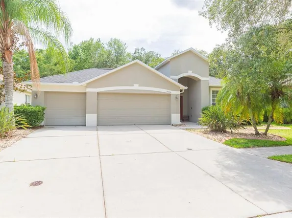 19252 Meadow Pine Dr, Tampa, FL 33647