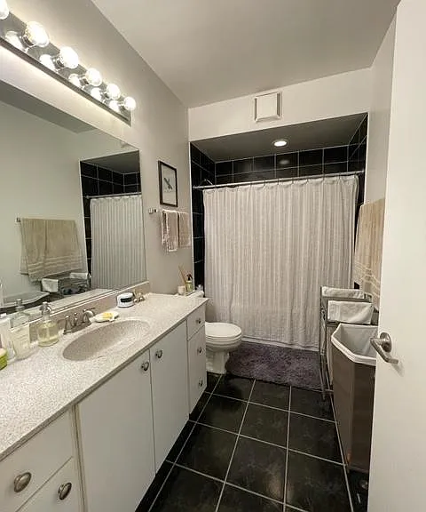 435 W Erie St #2006 — Photo 13