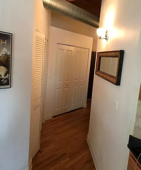 500 N Damen Ave #205 — Photo 12