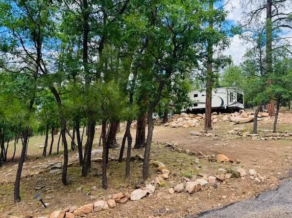 2441 Woodland Dr, Happy Jack, AZ 86024