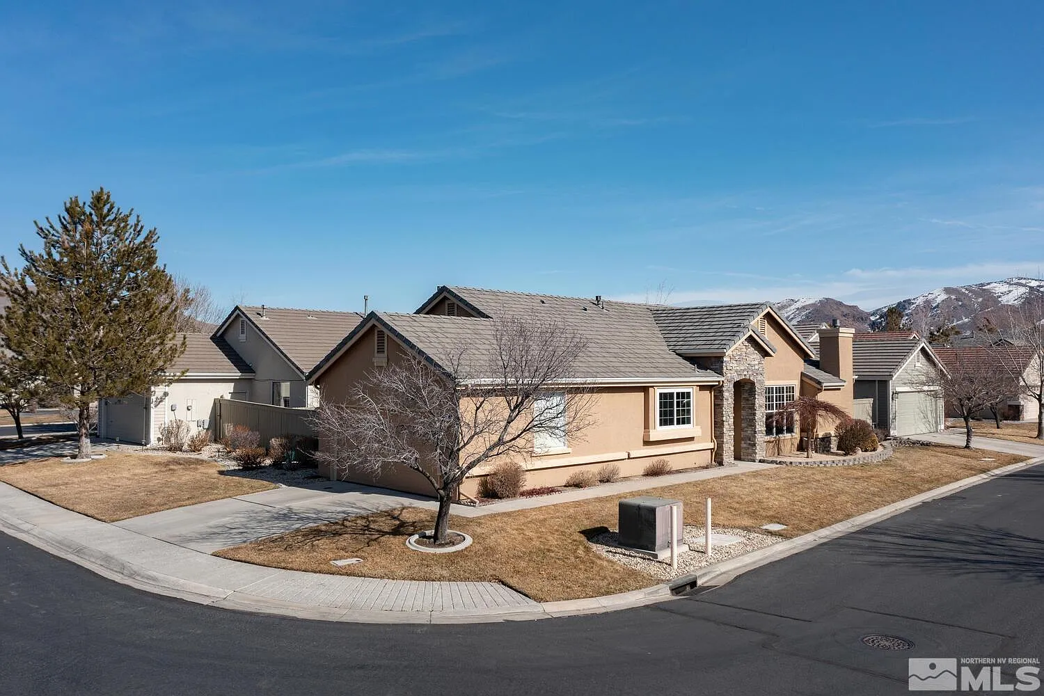 10170 Donner Peak Dr photo 1