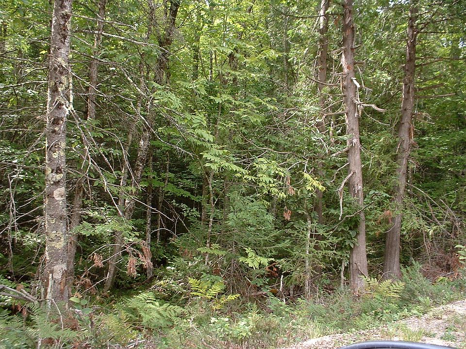 1st image of Westberg Rd