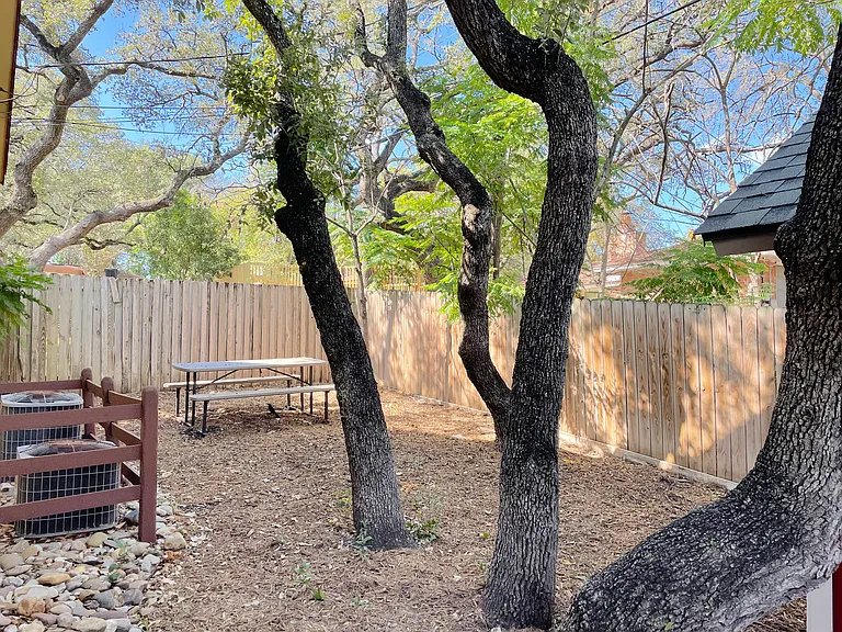 Backyard. Not much grass due to trees but private.