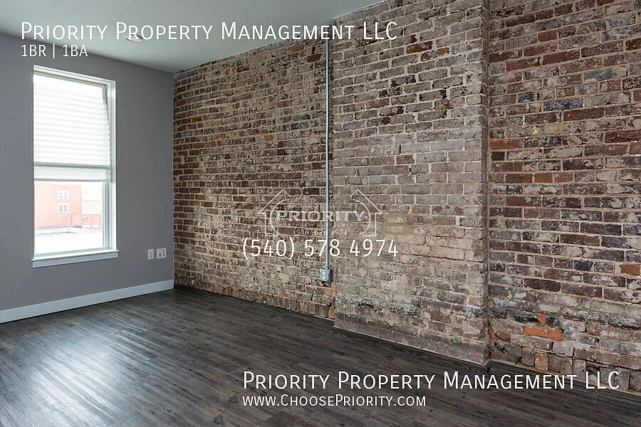 1BR 1BA Apartment Downtown Harrisonburg — Photo 4