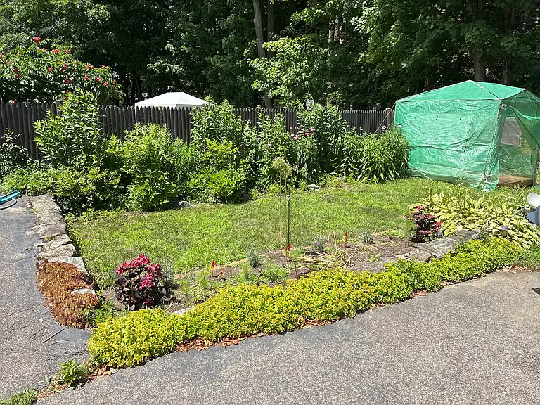 935 Bay Rd #2 — Photo 30