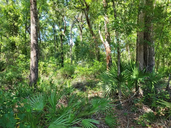 8391 NW 172nd Ln, Fanning Springs, FL 32693