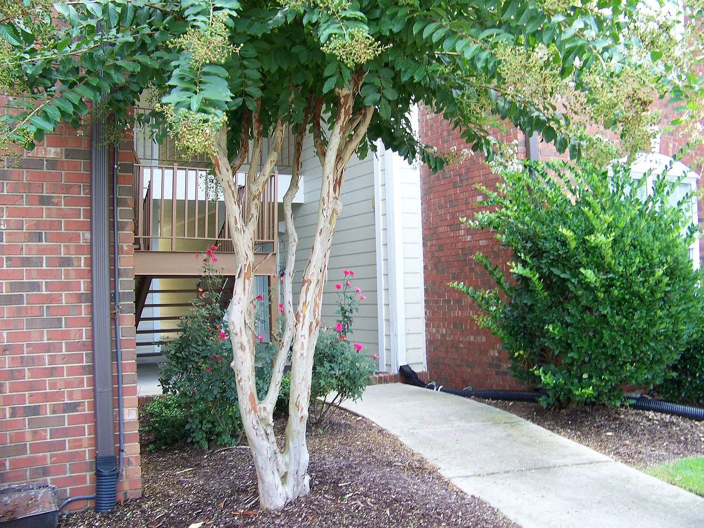 Elk Ridge Of South View Condominums — Photo 1
