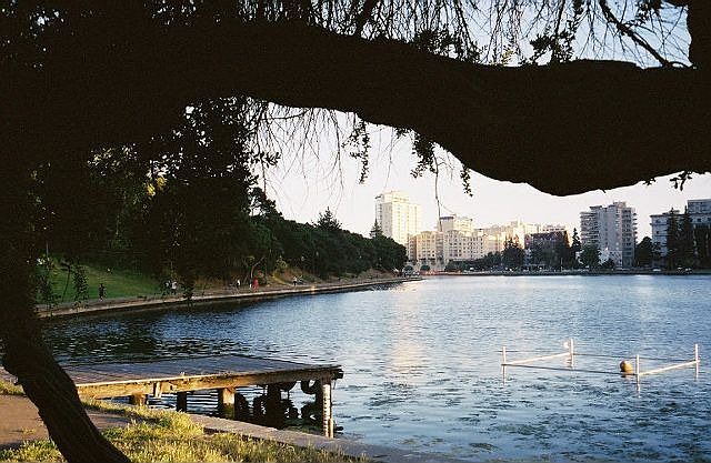 Lake Merritt 2 blks away