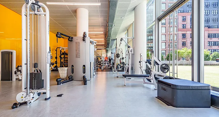 Rented by Platinum Properties | media 66