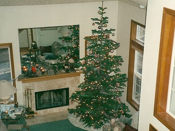 Cathedral Ceilings LR-DR