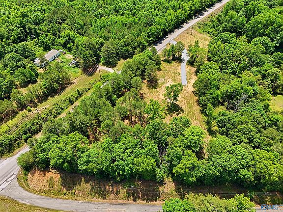 3rd image of Eva Rd