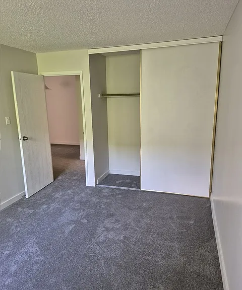 215 86th Ave SE — Photo 11