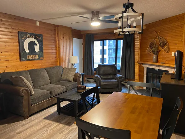 2407 Silver Creek Ln, Snowshoe, WV 26209