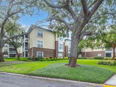 10020 Strafford Oak Ct APT 921, Tampa, FL, 33624