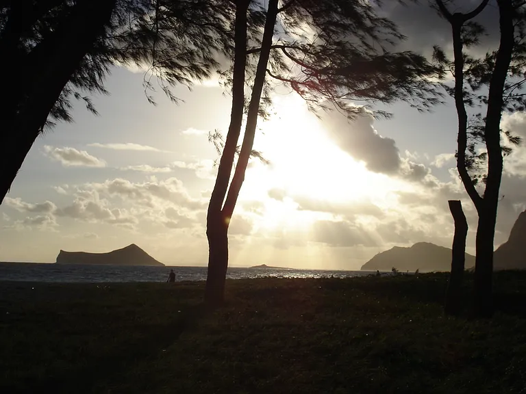41-055 Ehukai St — Photo 12