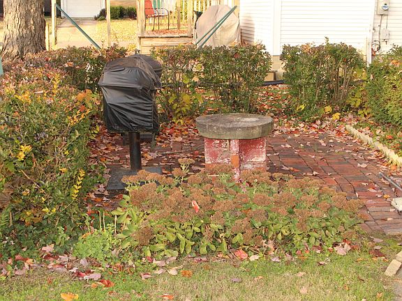 5th image of 1155 Forest Rose Ave