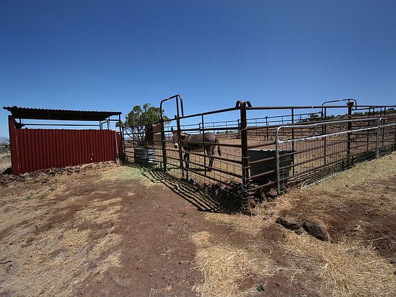 Facilities for all your family members and then some!